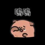 小水豚們的熱血應援