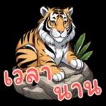 มันก็คือเซอร์ไพรส์ที่มีคุณ❤️❤️