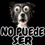 NO PUEDE SER