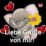 Hab dich lieb