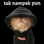 Yanz