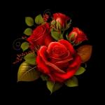 تم الشحن بنجاح