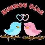 buenos dias