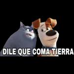 paquete 2