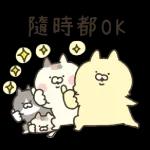 三只小猫生活日常☆ 2