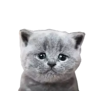 zsixJV