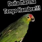 Dios te Bendiga