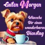 schönen Abend😋