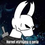 hollow knight 