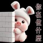 Piggy Rabbit so Cute