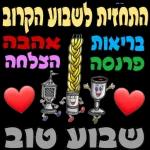 פורימיות
