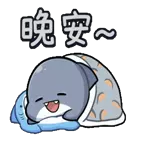 小鲨鱼鲨西米pack