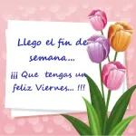 Viernes 