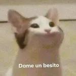 bebe