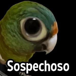 KgTOj3