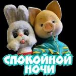 спокойной ночи