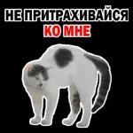 разное