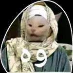 8
مساء الورد