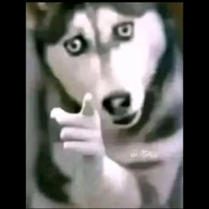 nSsSkl