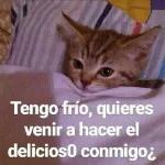 Yo El 24 ya después de haber cenado en 4 casas diferentes  -Ya cenaste?  -Yo: