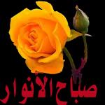 ملصقات ملصقات