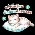 สวัสดีค่ะ