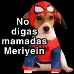 Estoy feliz! y enojado