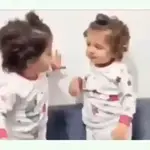 jaja