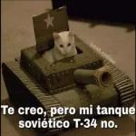 militares 