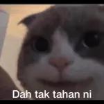 hehe