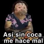 @paraguayita_01Así sin cocame hace mal