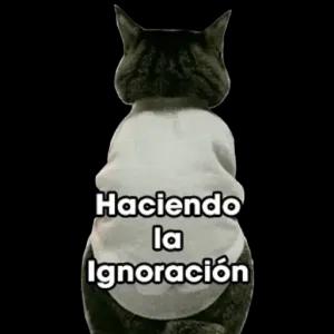 yKtfCd