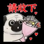 吾皇猫：大头表情贴图
