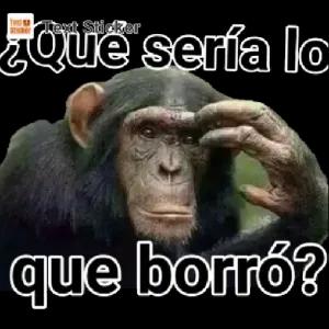 ¿Qué sería lo que borró? - getsticker.com
