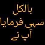 اللَّهُ رَبِّي