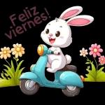 Feliz viernes!