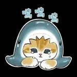 鯊魚貓咪 2