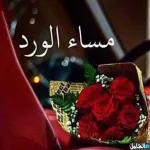 لولولولوووووووي