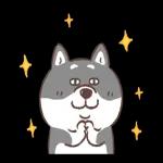 圓圓胖狗和愉快的小夥伴們