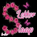 I always love y