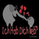 Niedlicher Elefant😍😍