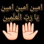 صباح الجمال