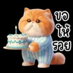 แมวขี้โมโหในชุดนอนสีอ่อน