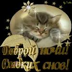 спокойной ночи