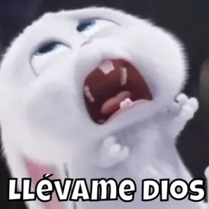 VtZho3