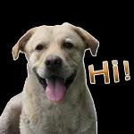 Welcome!!!