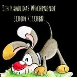 ICH KANN DAS WOCHENENDE SCHON RIECHEN