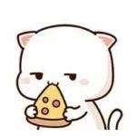 mochis kawaii