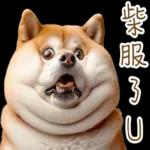 圓柴柴4：柴腹自由 薯條加大