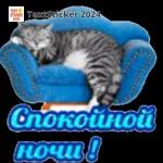 Спокойной ночи!